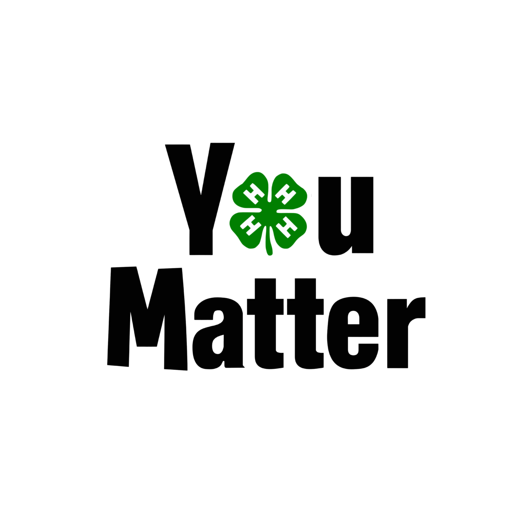 4H Apparel (Adult)